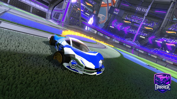 Titanium White Werewolf Designs Rocket League Garage